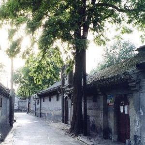 SBJ - Hutong - Maggic - small