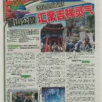 Newspaper Media (36)