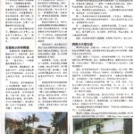 Newspaper Media (46)